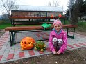 DSCF1963 DSCF1963
